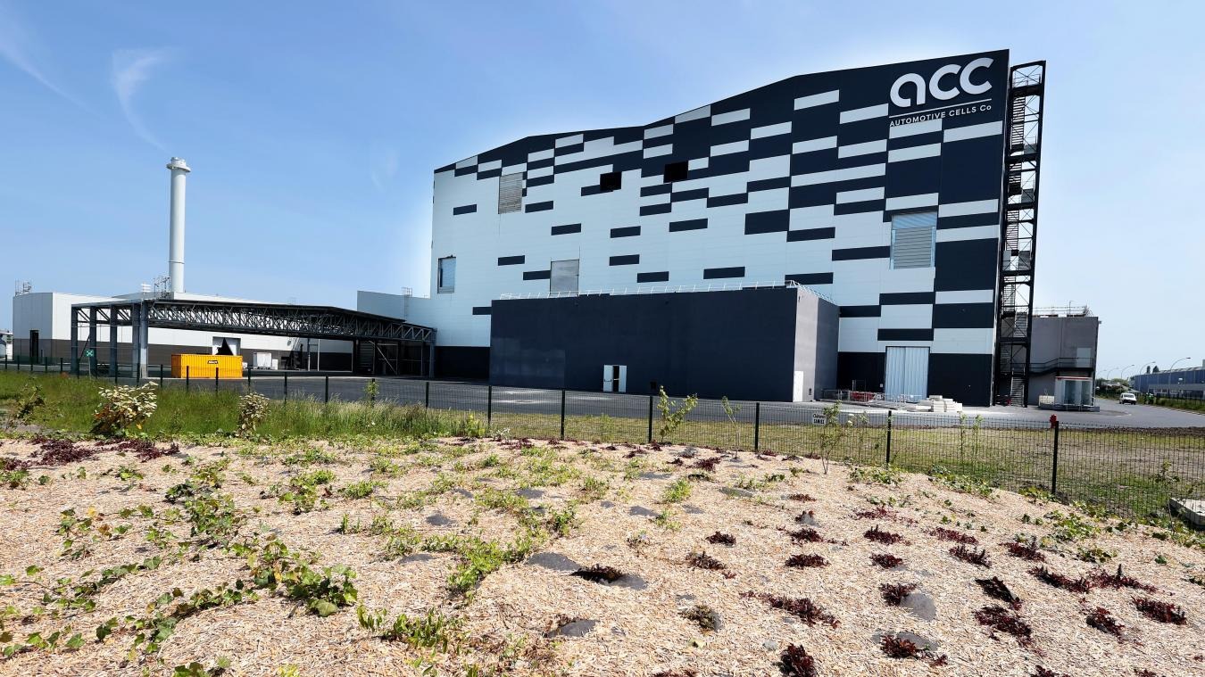 WhatsApp Image 2025-09-08 at 15.03.09